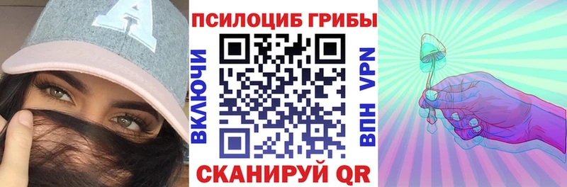 купить наркотик  Ладушкин  ссылка на мегу ссылка  Псилоцибиновые грибы Psilocybe 